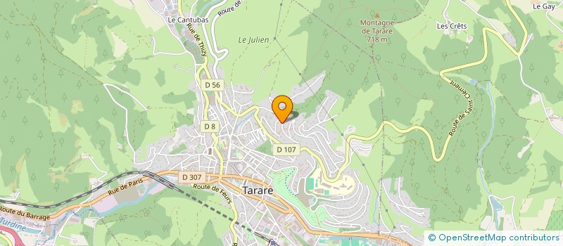 localisation de l'entreprise MONSIEUR OUSSAMA GUENDOUZ  TARARE