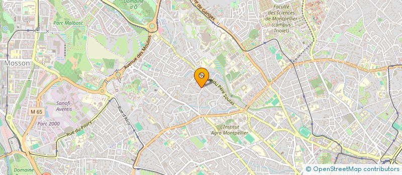 localisation de l'entreprise MONSIEUR OUSSAMA REJDALI à MONTPELLIER