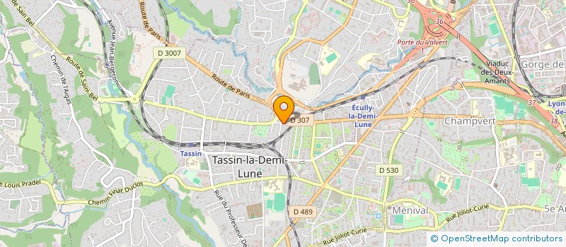 localisation de l'entreprise MONSIEUR OZE LEKPA à TASSIN-LA-DEMI-LUNE