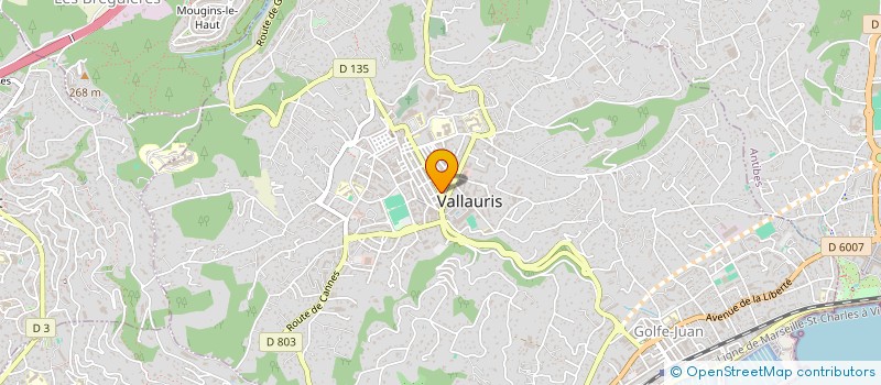 localisation de l'entreprise MONSIEUR OZGUR SOYLEMEZ  VALLAURIS