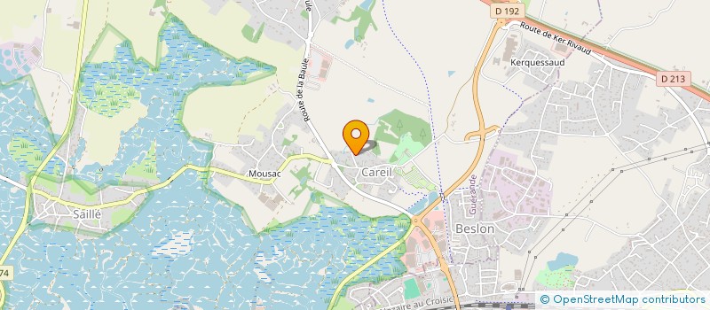 localisation de l'entreprise MONSIEUR PABLO RUTH  SAINT-JACQUES-DE-LA-LANDE