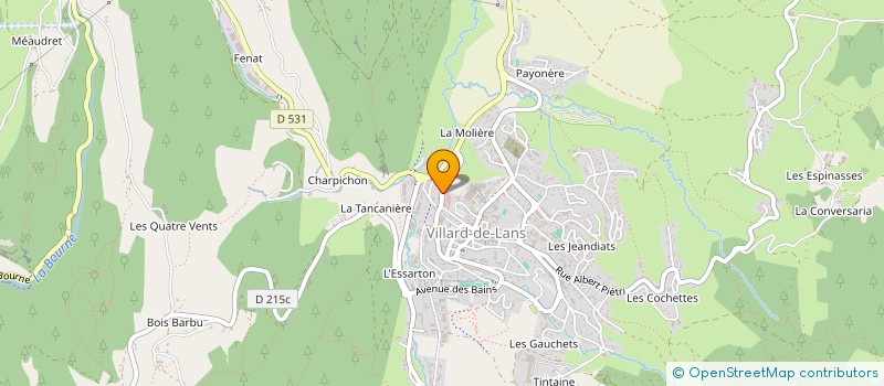 localisation de l'entreprise MONSIEUR PAILLER GOUY  VILLARD-DE-LANS