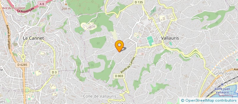 localisation de l'entreprise MONSIEUR PANAYIOTIS RAPTIS à VALLAURIS
