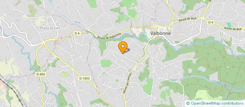 localisation de l'entreprise MONSIEUR PAOLO CAVALLO à VALBONNE