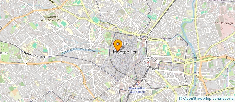 localisation de l'entreprise MONSIEUR PAOLO ROY  MONTPELLIER