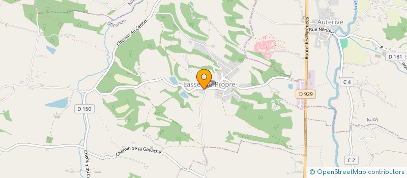 localisation de l'entreprise MONSIEUR PARTICK LACARCE  LASSEUBE-PROPRE