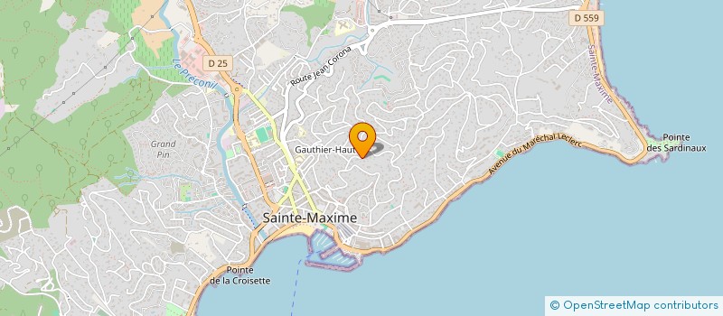 localisation de l'entreprise MONSIEUR PASCAL ANDRE à SAINTE-MAXIME