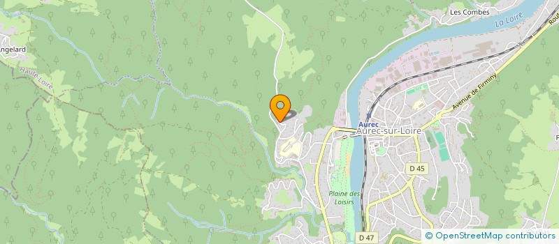 localisation de l'entreprise MONSIEUR PASCAL BALDI  AUREC-SUR-LOIRE