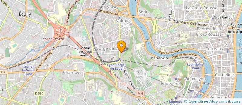 localisation de l'entreprise MONSIEUR PASCAL BASSET  LYON