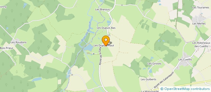 localisation de l'entreprise MONSIEUR PASCAL BELLIER  SAINTS-EN-PUISAYE