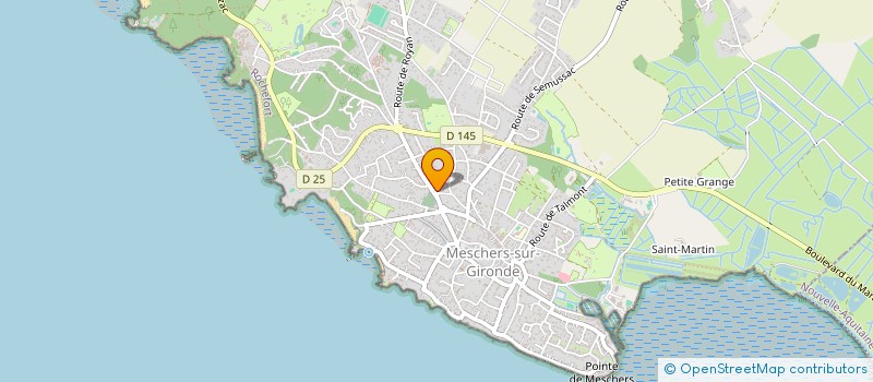 localisation de l'entreprise MONSIEUR PASCAL BLAISE  MESCHERS-SUR-GIRONDE