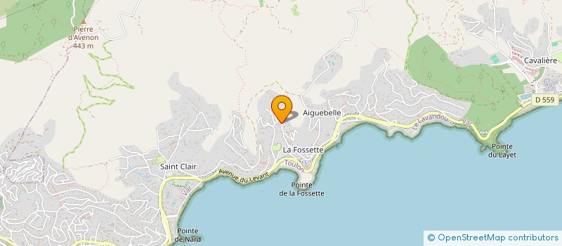 localisation de l'entreprise MONSIEUR PASCAL BRION à LE LAVANDOU