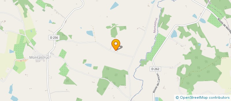 localisation de l'entreprise MONSIEUR PASCAL BRIOT  MONTASTRUC