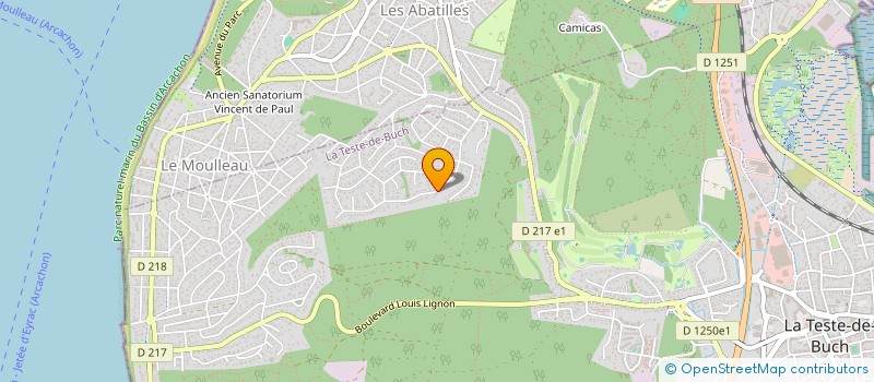 localisation de l'entreprise MONSIEUR PASCAL CAPEYRON  LA TESTE-DE-BUCH