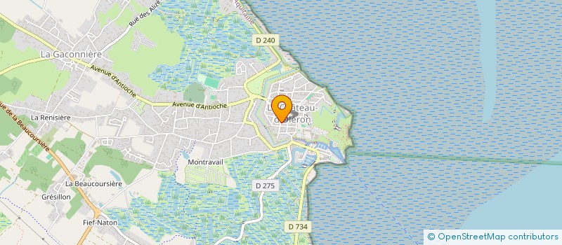 localisation de l'entreprise MONSIEUR PASCAL CHAILLOLEAU  LE CHATEAU D'OLERON