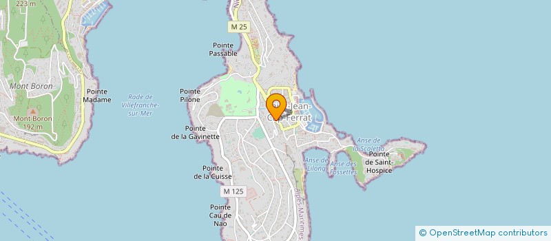 localisation de l'entreprise MONSIEUR PASCAL COSENTINO  SAINT-JEAN-CAP-FERRAT