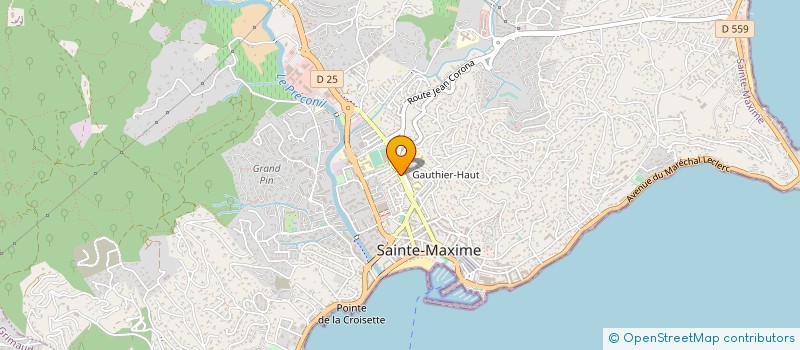 localisation de l'entreprise MONSIEUR PASCAL DELANNOY à SAINTE-MAXIME