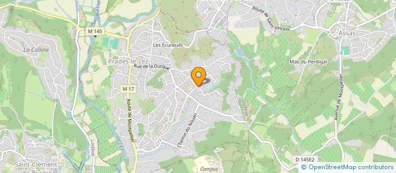 localisation de l'entreprise MONSIEUR PASCAL DELILLE  PRADES-LE-LEZ
