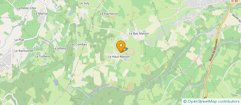 localisation de l'entreprise MONSIEUR PASCAL DI BISCEGLIE  SOUCIEU-EN-JARREST