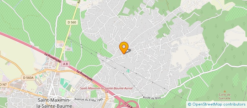 localisation de l'entreprise MONSIEUR PASCAL DI CAMILLO à SAINT-MAXIMIN-LA-SAINTE-BAUME