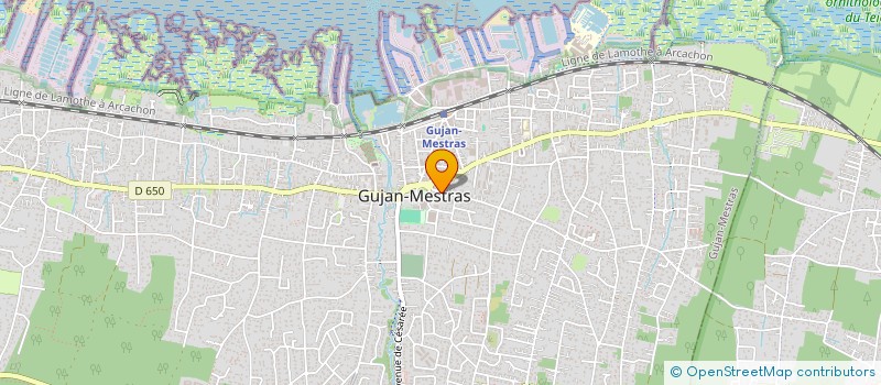 localisation de l'entreprise MONSIEUR PASCAL DOURTHE  GUJAN-MESTRAS