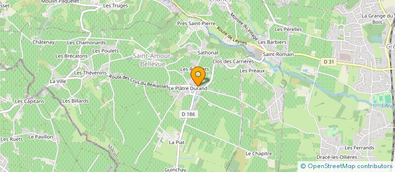 localisation de l'entreprise MONSIEUR PASCAL DURAND à SAINT-AMOUR-BELLEVUE