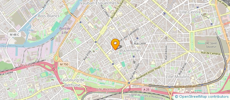 localisation de l'entreprise MONSIEUR PASCAL DURET à LILLE