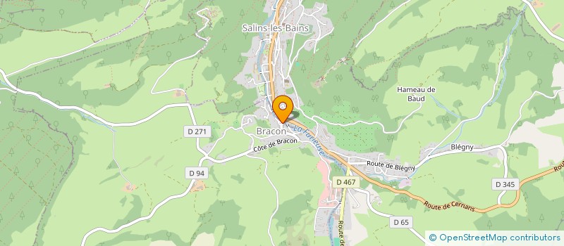 localisation de l'entreprise MONSIEUR PASCAL GIRARDOT  BRACON