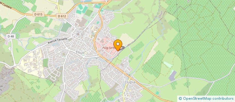 localisation de l'entreprise MONSIEUR PASCAL GODEFROY  THUIR