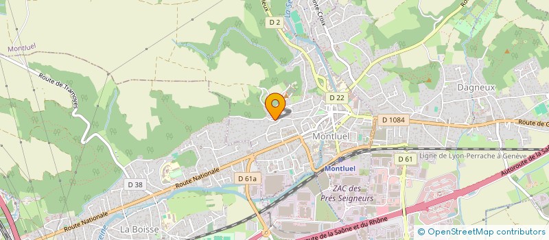 localisation de l'entreprise MONSIEUR PASCAL LHOMME  MONTLUEL