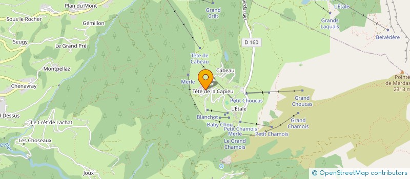 localisation de l'entreprise MONSIEUR PASCAL MARTINEAU  MANIGOD