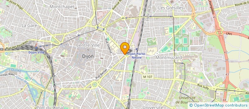 localisation de l'entreprise MONSIEUR PASCAL PINCON  DIJON