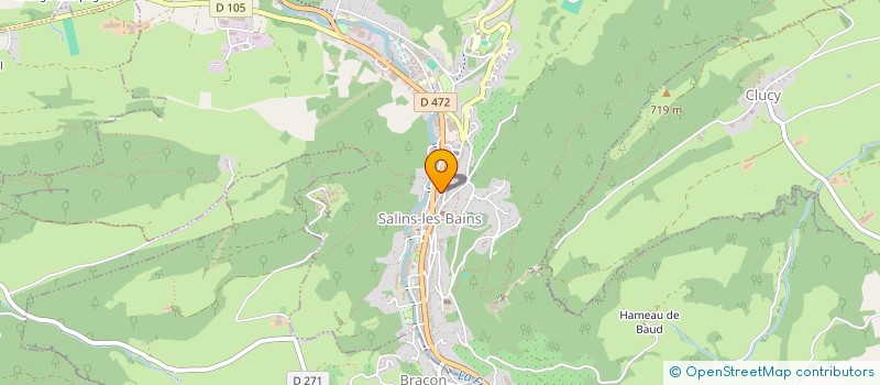 localisation de l'entreprise MONSIEUR PASCAL REGALDI  SALINS-LES-BAINS
