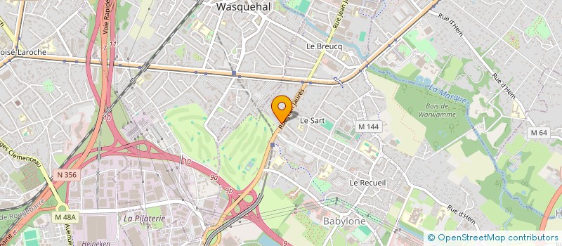 localisation de l'entreprise MONSIEUR PASCAL RICHE à VILLENEUVE-D'ASCQ