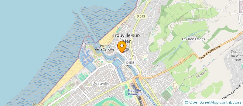 localisation de l'entreprise MONSIEUR PASCAL RYCKERS  TROUVILLE-SUR-MER