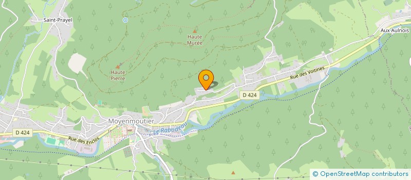 localisation de l'entreprise MONSIEUR PASCAL SAUER  MOYENMOUTIER