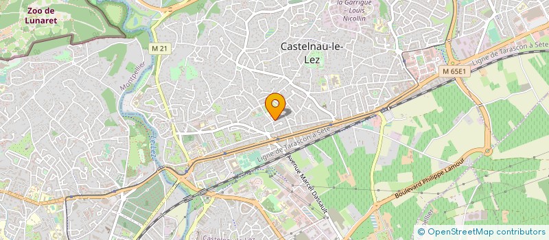 localisation de l'entreprise MONSIEUR PASCAL VERRECCHIA à CASTELNAU-LE-LEZ