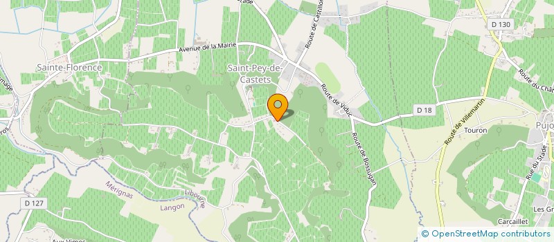 localisation de l'entreprise MONSIEUR PASCAL VERTET  SAINT-PEY-DE-CASTETS