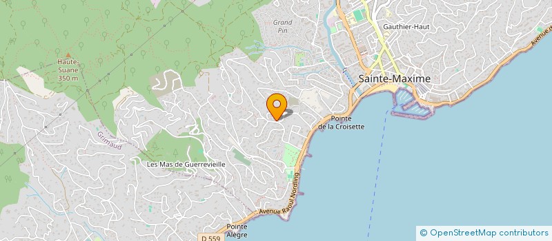 localisation de l'entreprise MONSIEUR PASCAL ZYTO à SAINTE-MAXIME