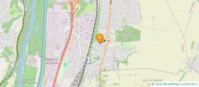 localisation de l'entreprise MONSIEUR PASCOAL AMORIM TADEU  FEYZIN