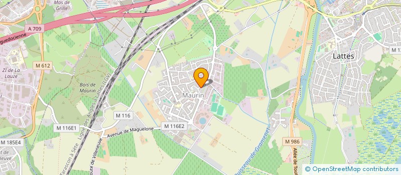 localisation de l'entreprise MONSIEUR PATRICE ASCIONE  LATTES