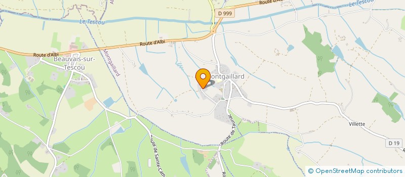 localisation de l'entreprise MONSIEUR PATRICE BONNET  MONTGAILLARD