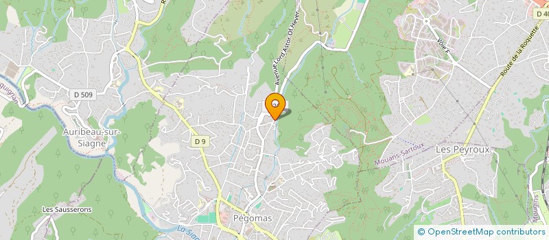 localisation de l'entreprise MONSIEUR PATRICE BROSSAUD  PEGOMAS