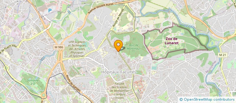 localisation de l'entreprise MONSIEUR PATRICE DALIBERT à MONTPELLIER