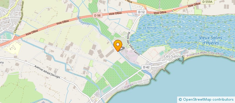 localisation de l'entreprise MONSIEUR PATRICE DEYRIEUX à HYERES