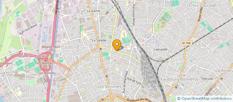 localisation de l'entreprise MONSIEUR PATRICE DUCHET-ANNEZ à TOULOUSE