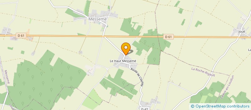 localisation de l'entreprise MONSIEUR PATRICE DUPUIS  LOUDUN
