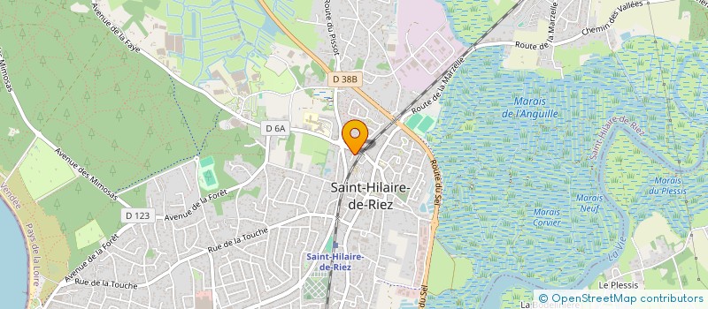 localisation de l'entreprise MONSIEUR PATRICE DUPUIS  SAINT-HILAIRE-DE-RIEZ