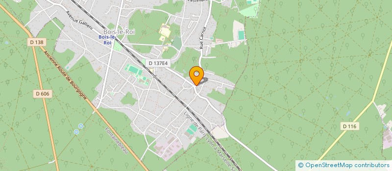 localisation de l'entreprise MONSIEUR PATRICE GAUTHIER à BOIS-LE-ROI