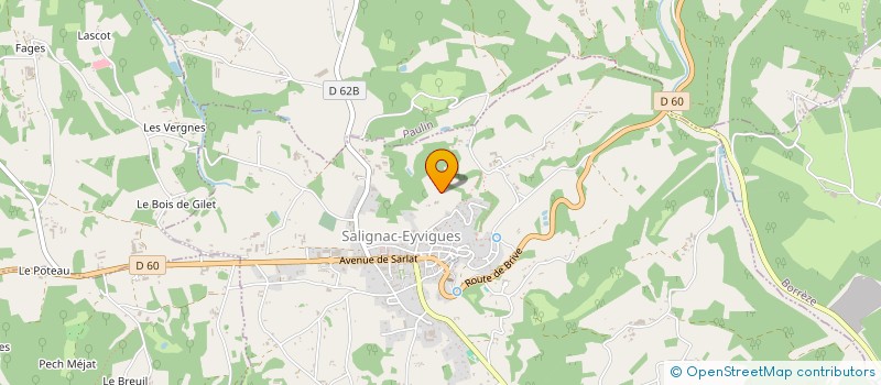 localisation de l'entreprise MONSIEUR PATRICE GAUTHIER à SALIGNAC-EYVIGUES